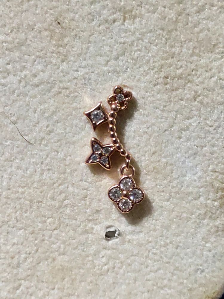 Rose Gold Charm Dangle Earrings