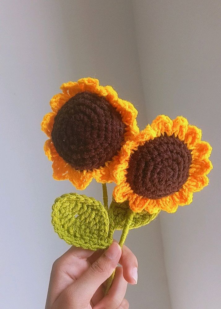 Combo of Sunflower