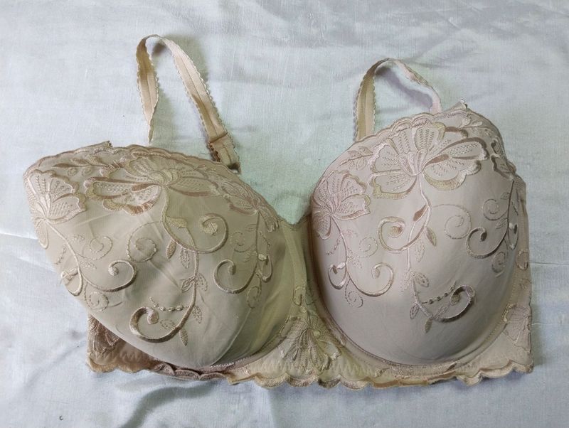 Important Plus Size Bra