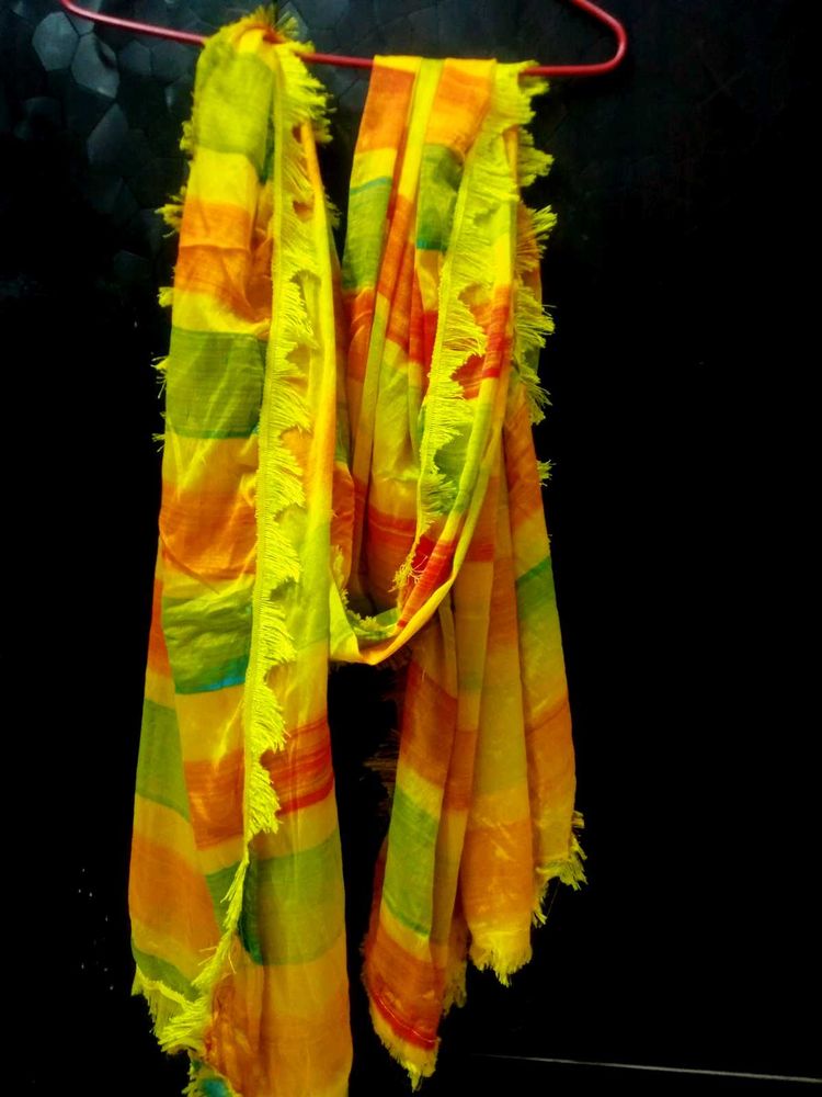 Multi Colour Dupatta