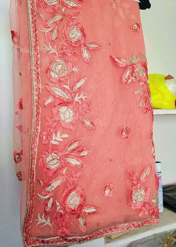 Beautiful Peach Colour Net Saree