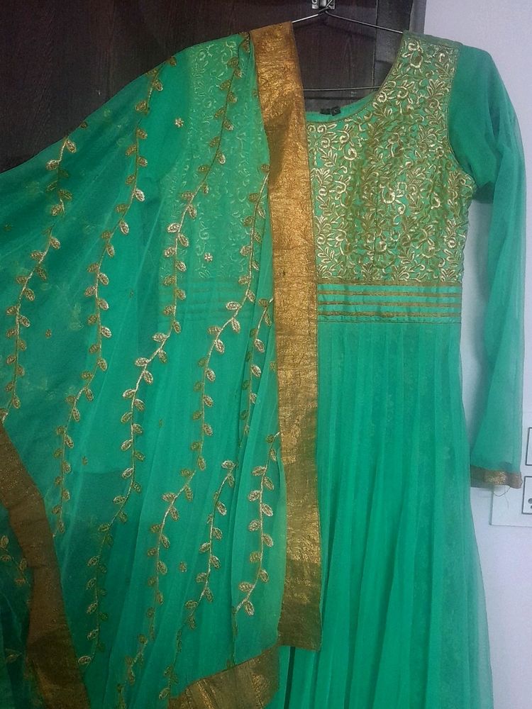 Beautiful Lite Green Colour Ethinc Gown