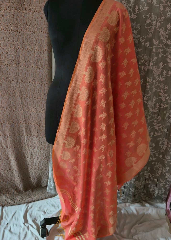 Peace Colour Dupatta For Women