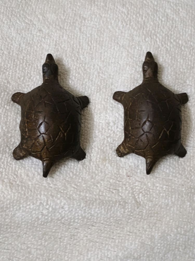 Lucky Tortoise Pair