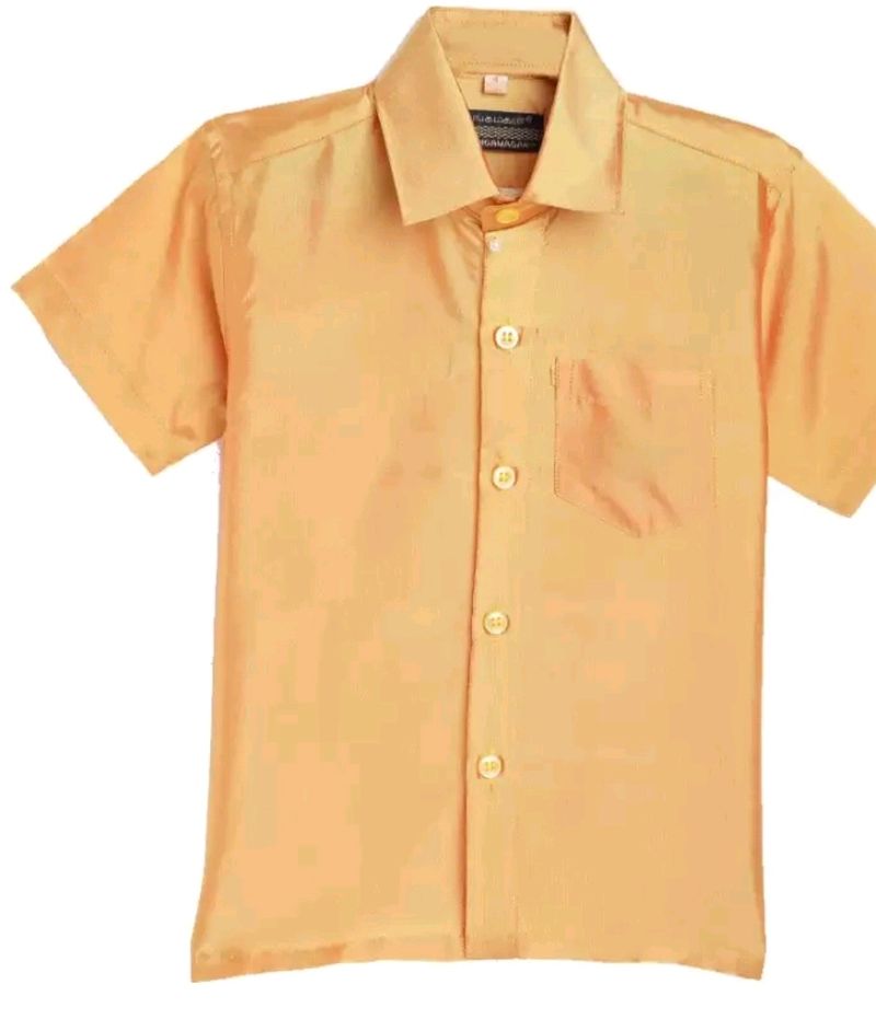 Cotton Regular Formal Shirt