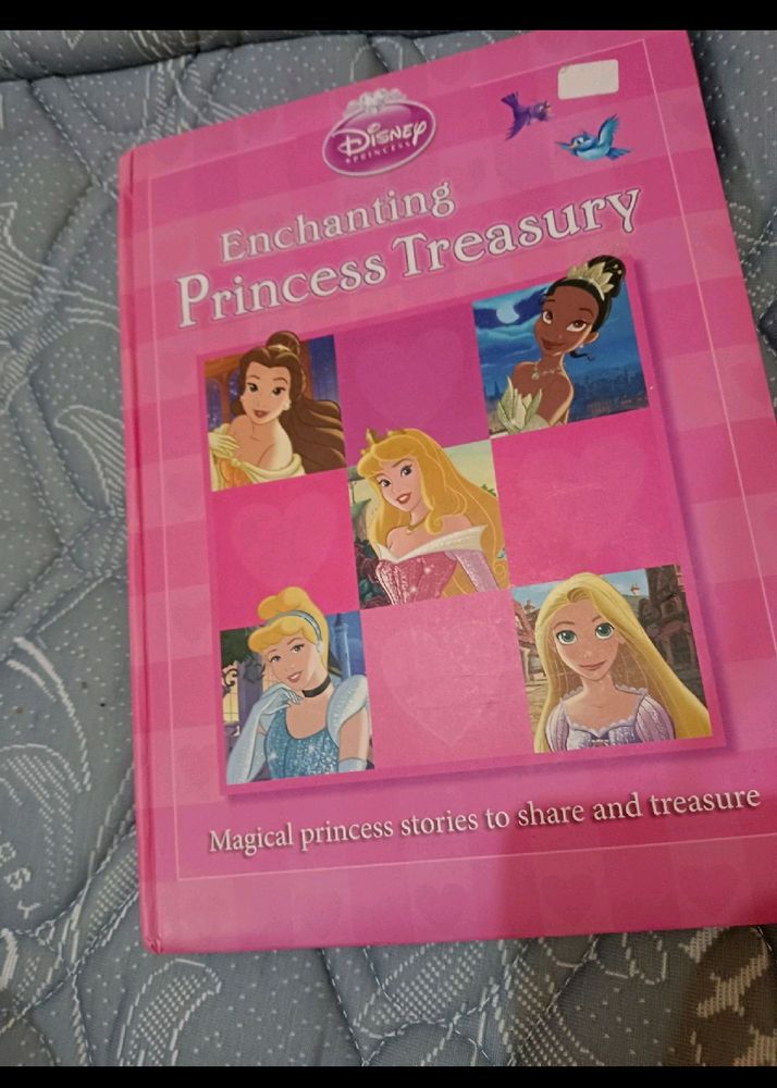 Princesses Story Book