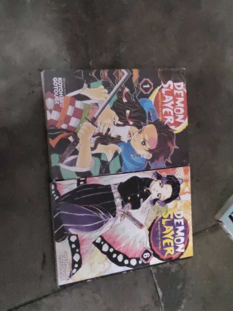 Demon Slayer Vol1&6