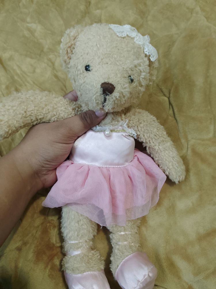 original jeju teddy bear