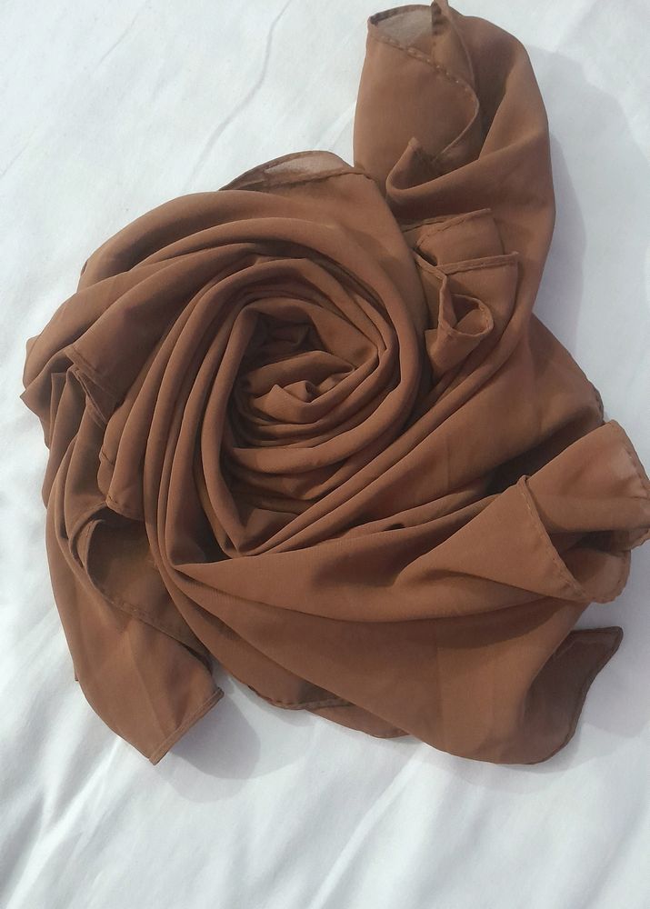 A Camel Brown Hijab /dupatta