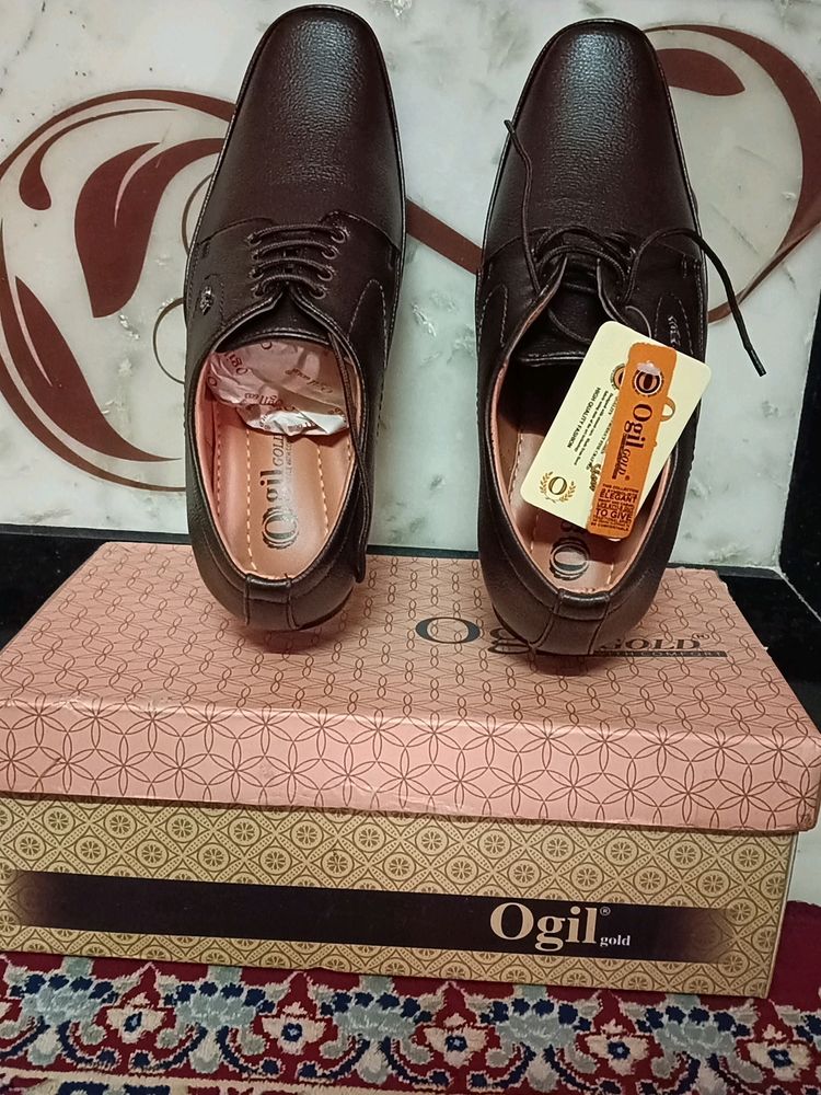 Ogil Gold Shoes Neu