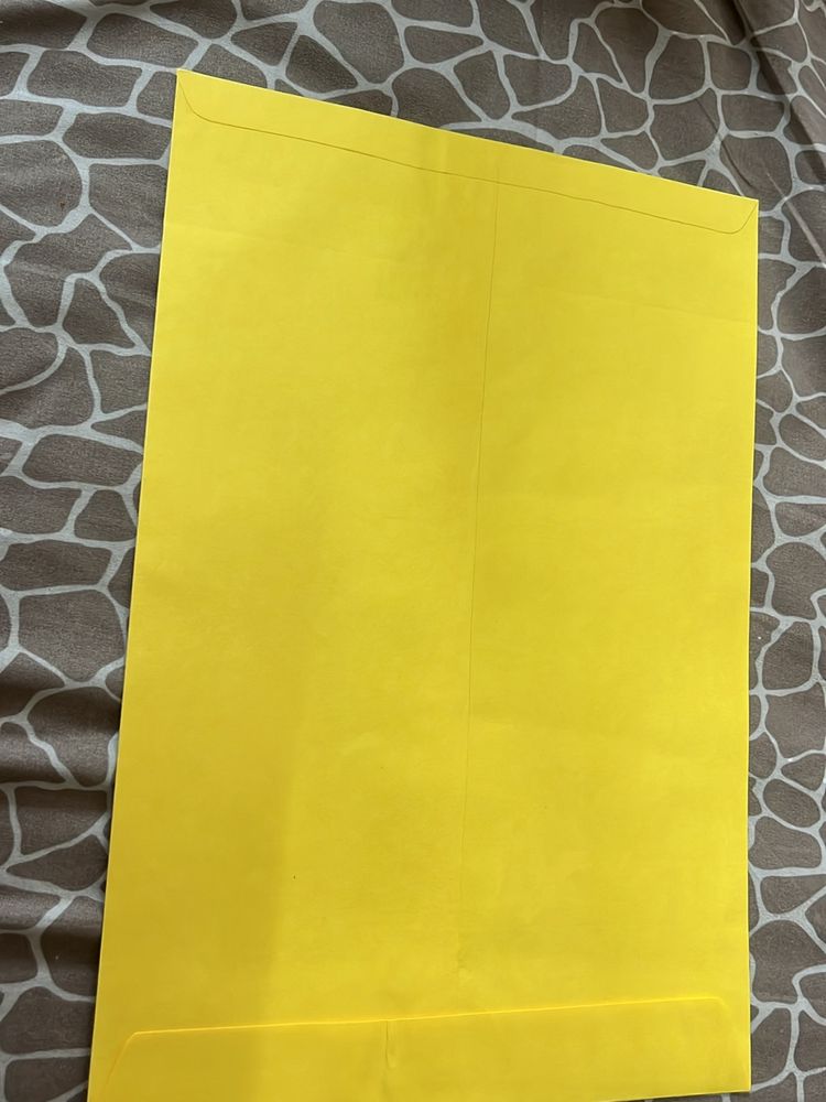 6 Envelopes (9.5*14)