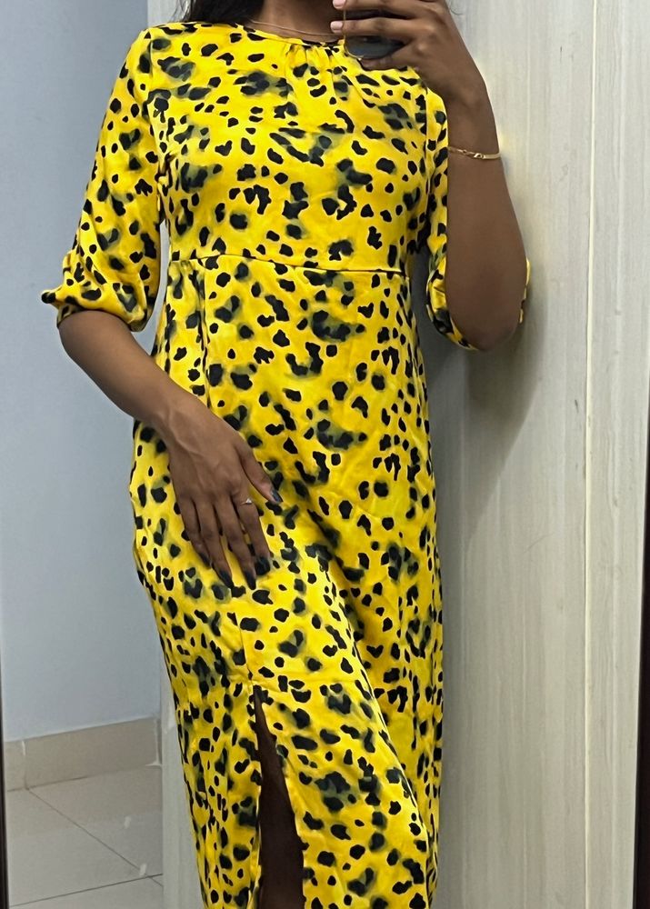 Animal Print ONLY Dress