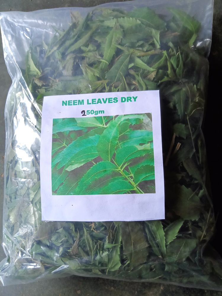 Neem Leaves Dry