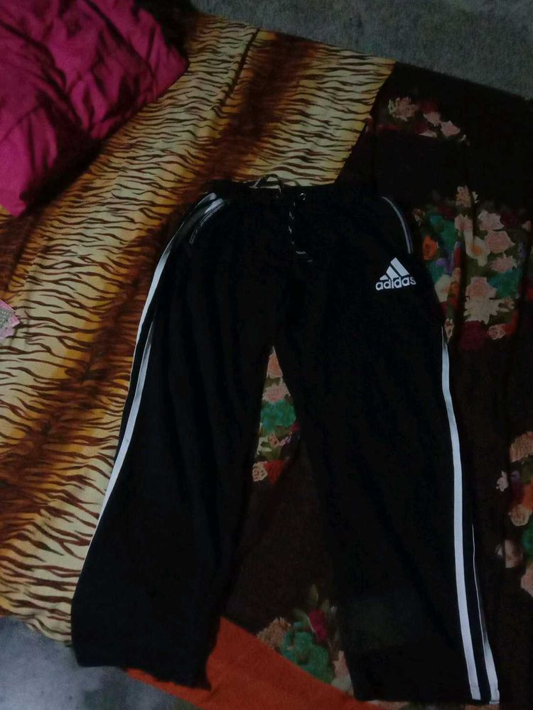 Adidas Track Pant