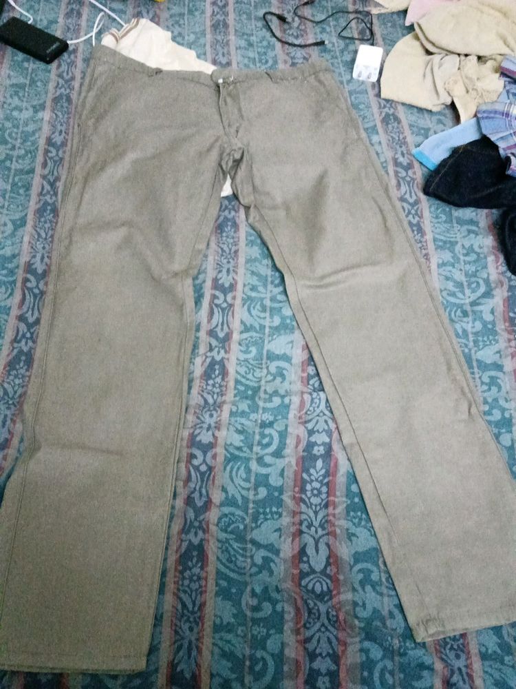 Formal Pant