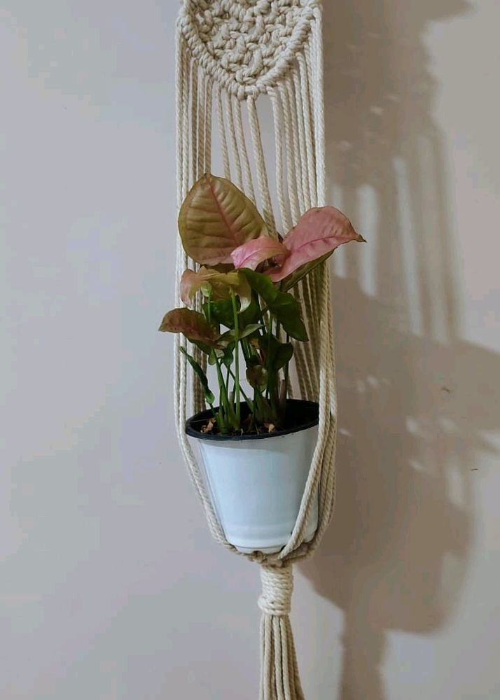 Wall Hanging