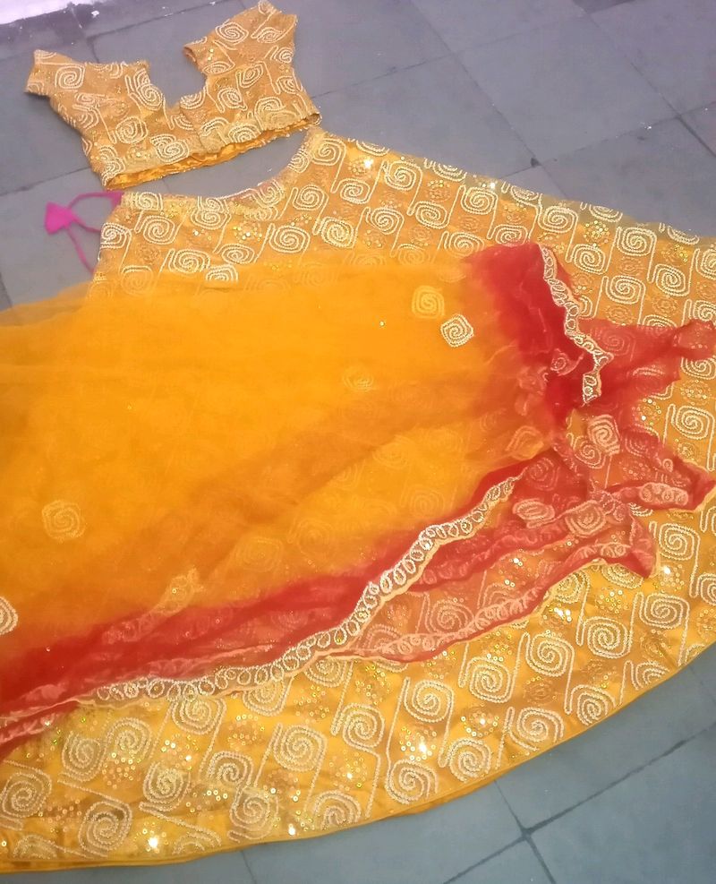 beautiful Lehenga Choli