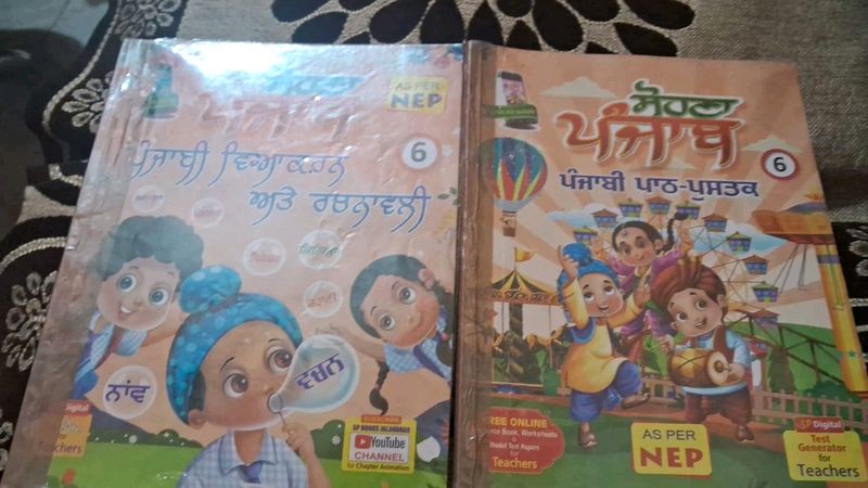 Class 8th Punjabi Book, Sohna Punjab