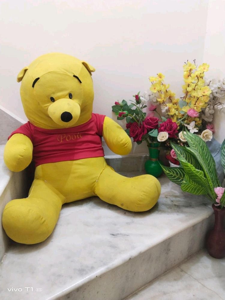 3 Feet Big Pooh