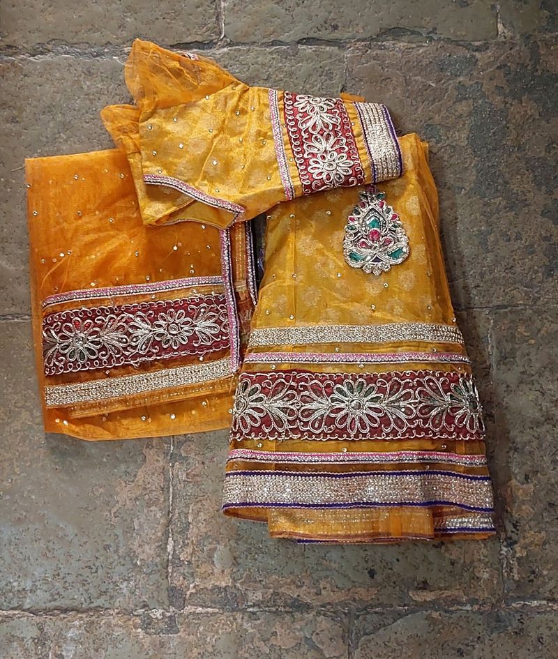 Net Ethnic Choli