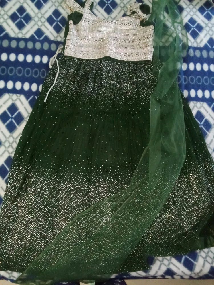 Georgette Lehanga Choli With Dupatta