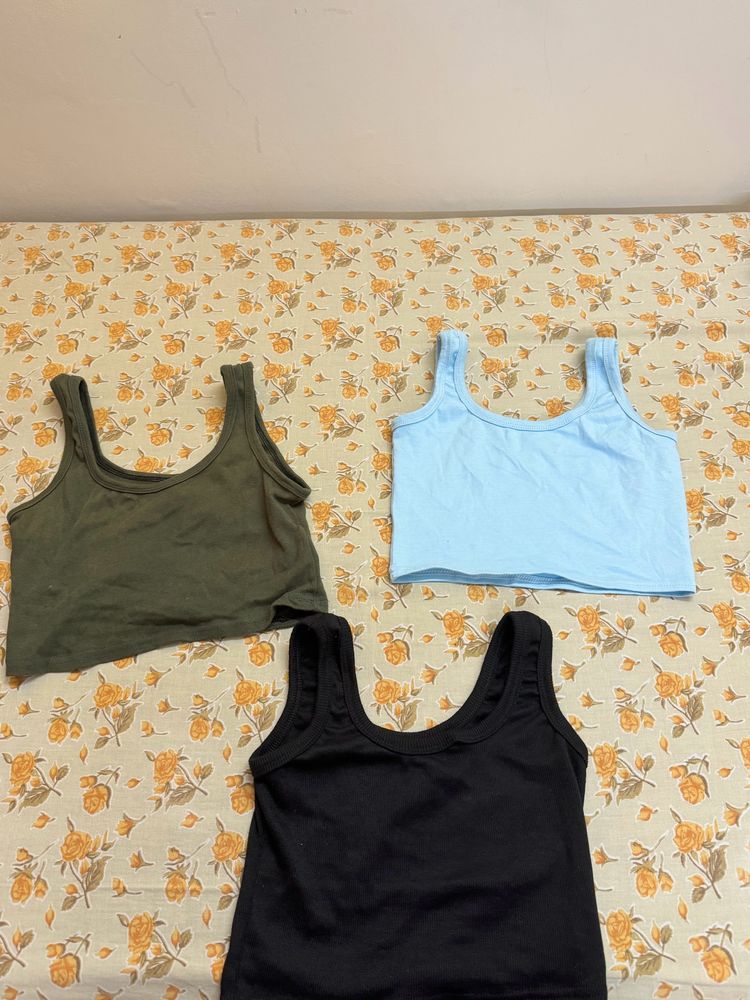 Crop Tops Multi-Color (Set Of 3)