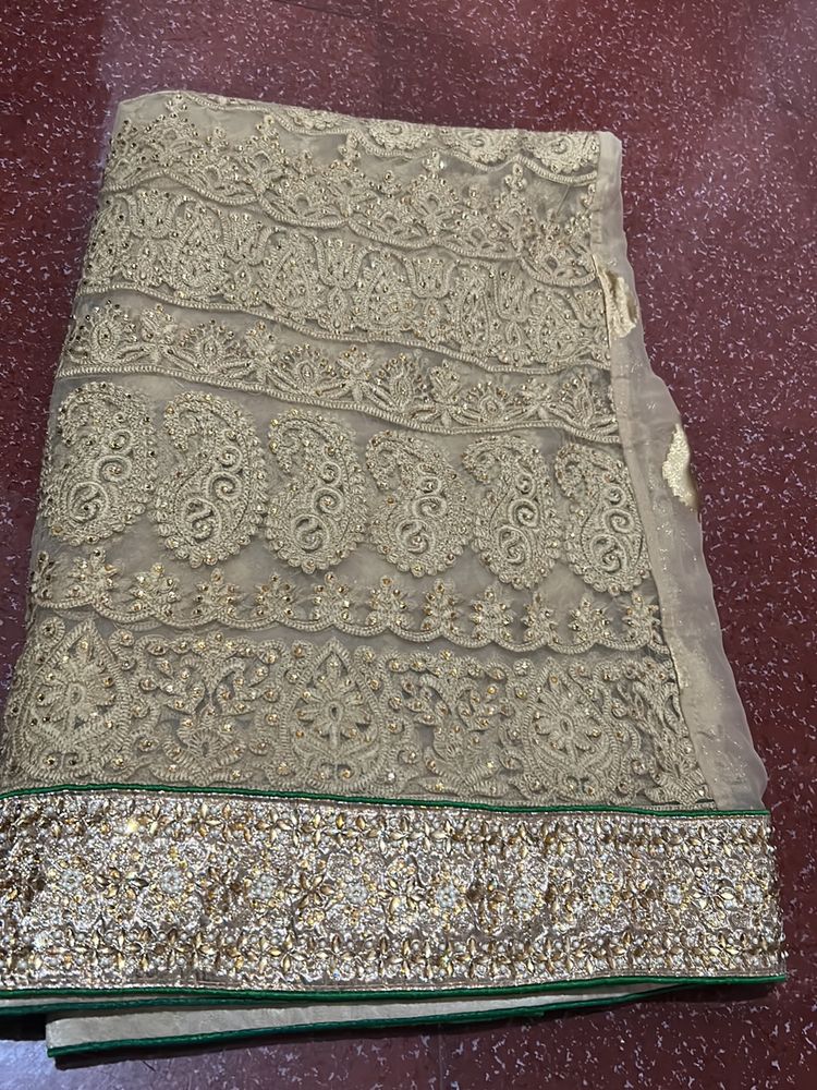 Nude Colour Saree With Stone Border