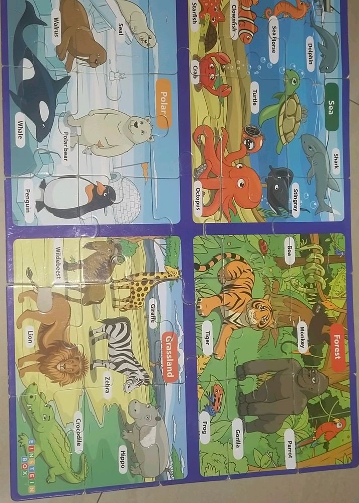 Kids Interesting Puzzle Game  ( 2 Sets)