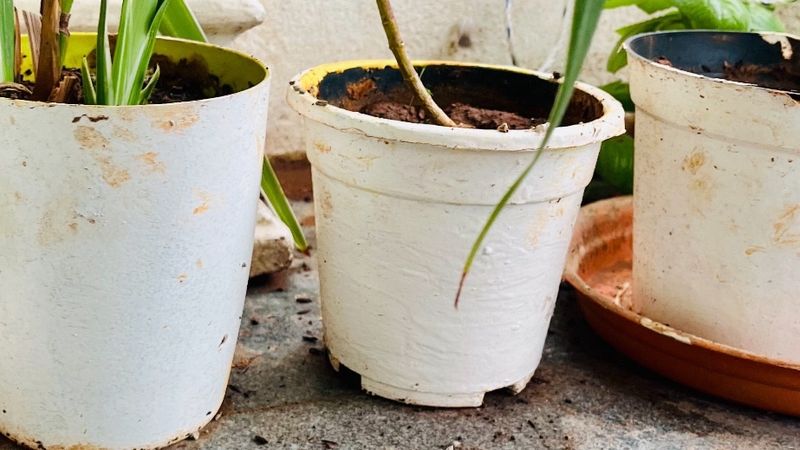 Set of 3 white plastic plant pots