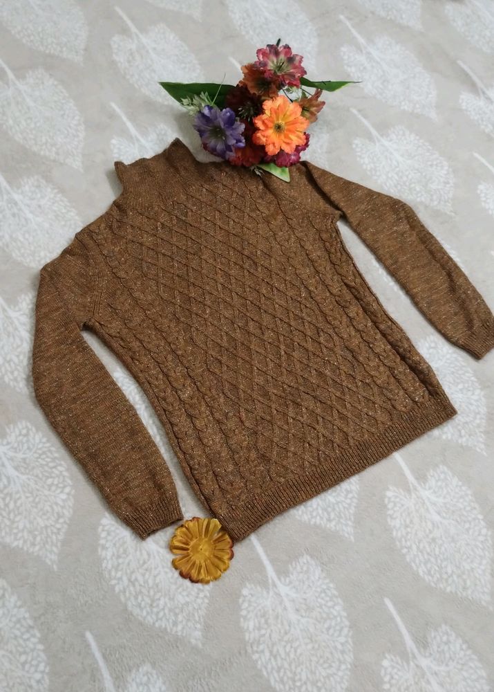 Cozy Brown High Neck Sweater 😍