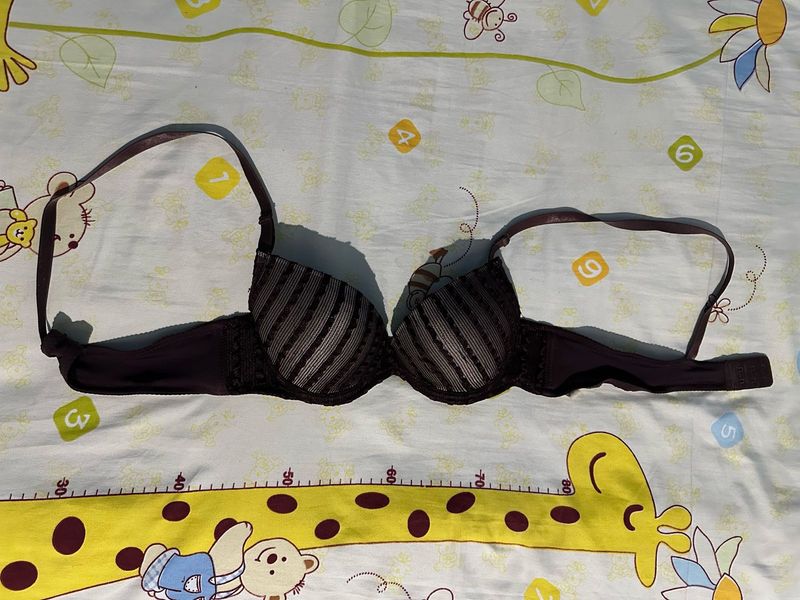 Brown Padded Bra