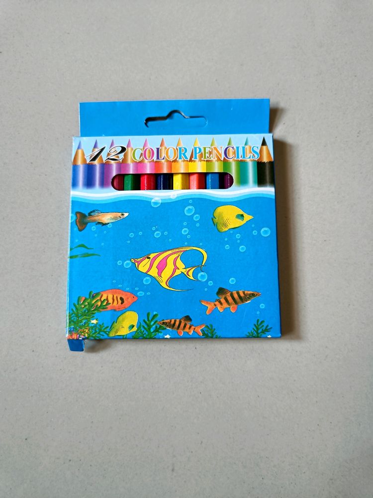 Set Of 12 Different Colour Pencils