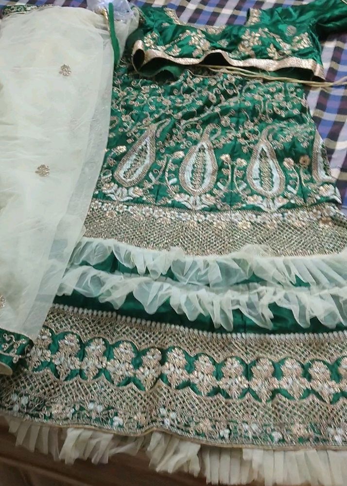 Very Beautiful Green Lehenga