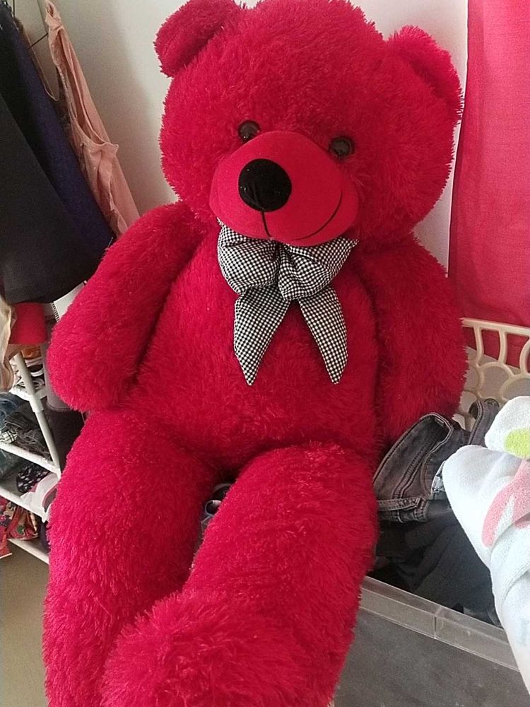 Red Teddy