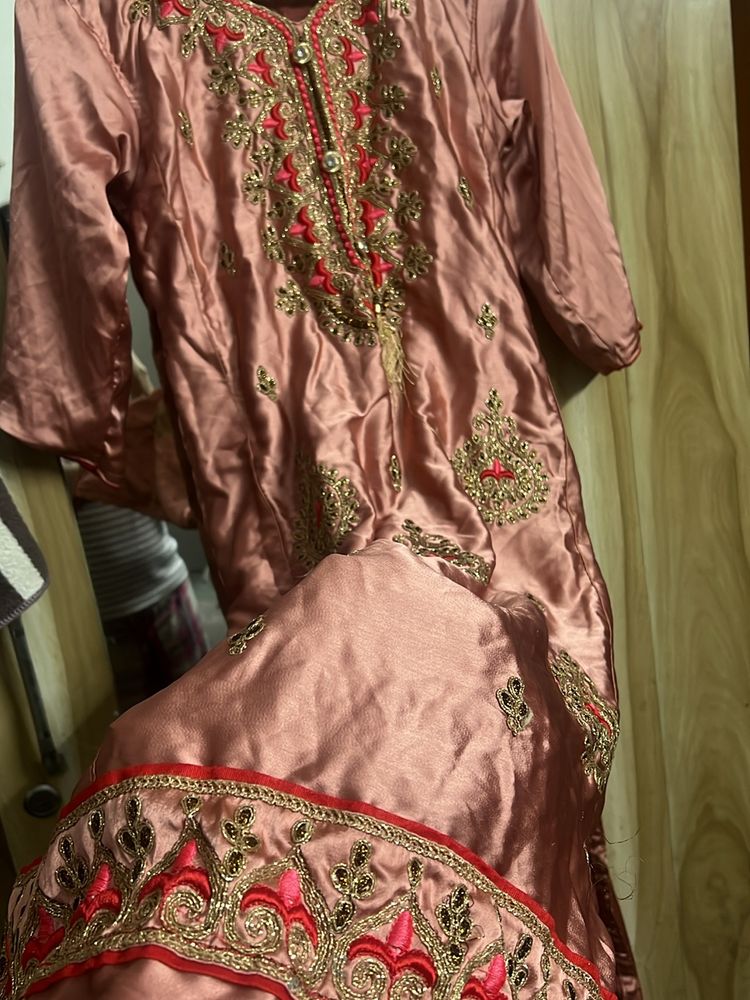 punjabi suit silk with Embroidery
