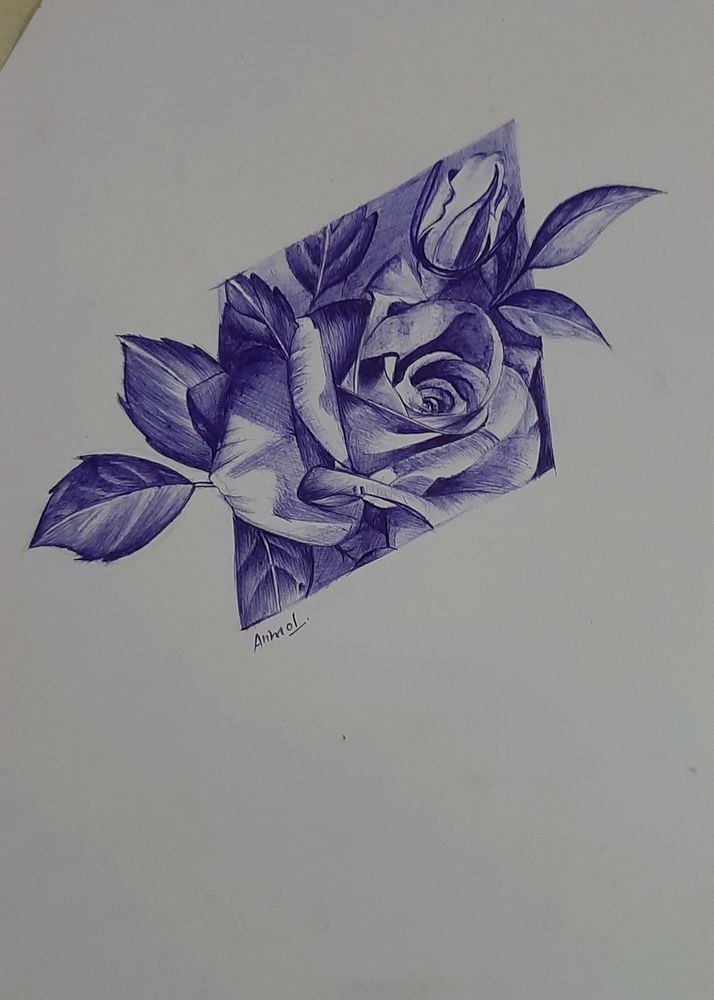 Classy Rose Pen Sketch HandMade.