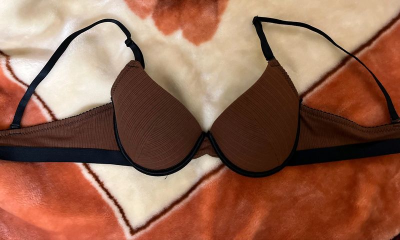 Urbanic Brown Padded Bra 34B