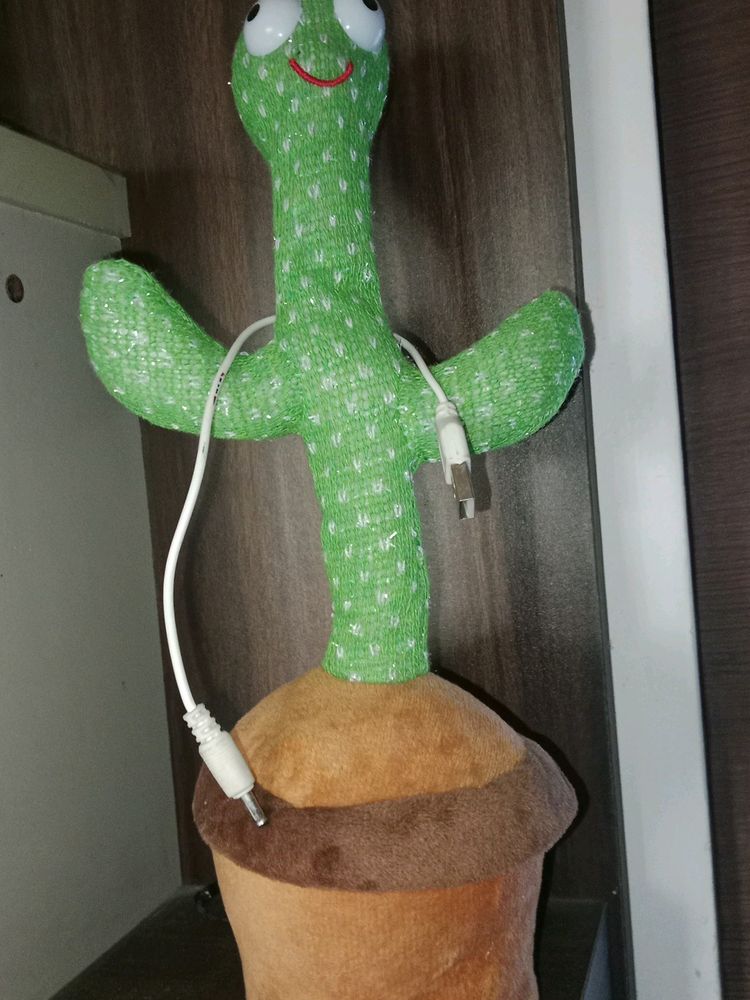 Dancing Cactus 🌵 Toy