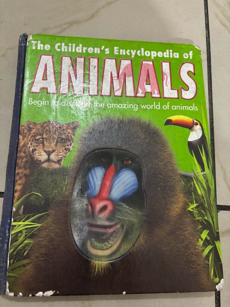 Animals Encyclopaedia Children Book