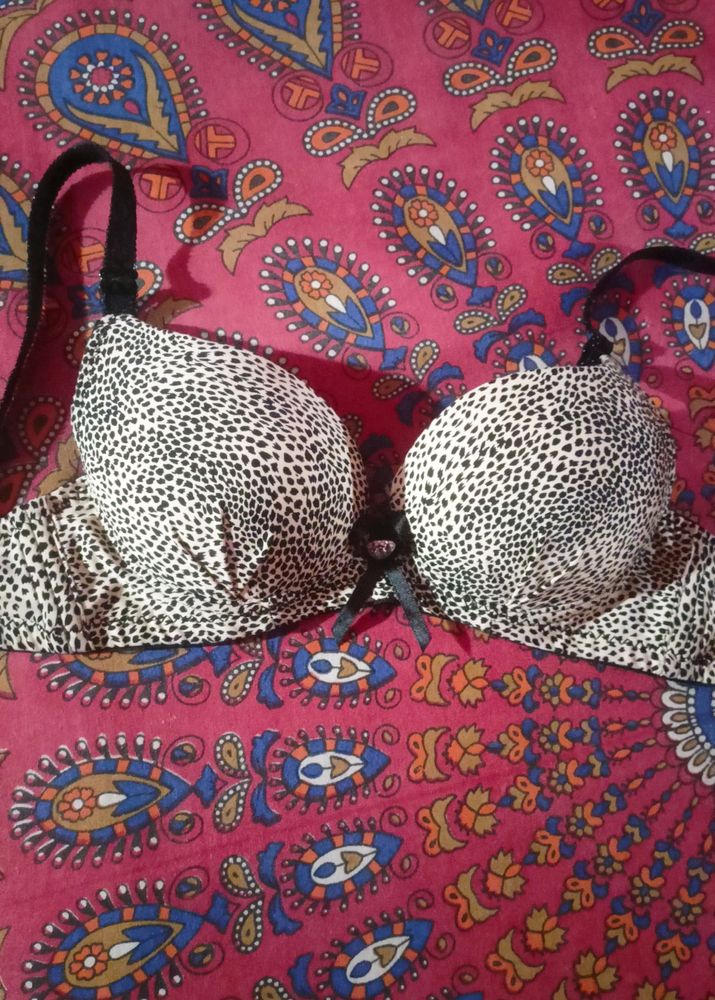 Leopard Print Padded Bra