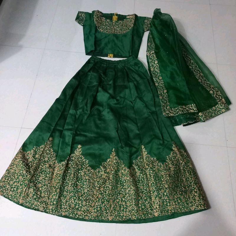 Beautiful Zari Work Lehanga Choli