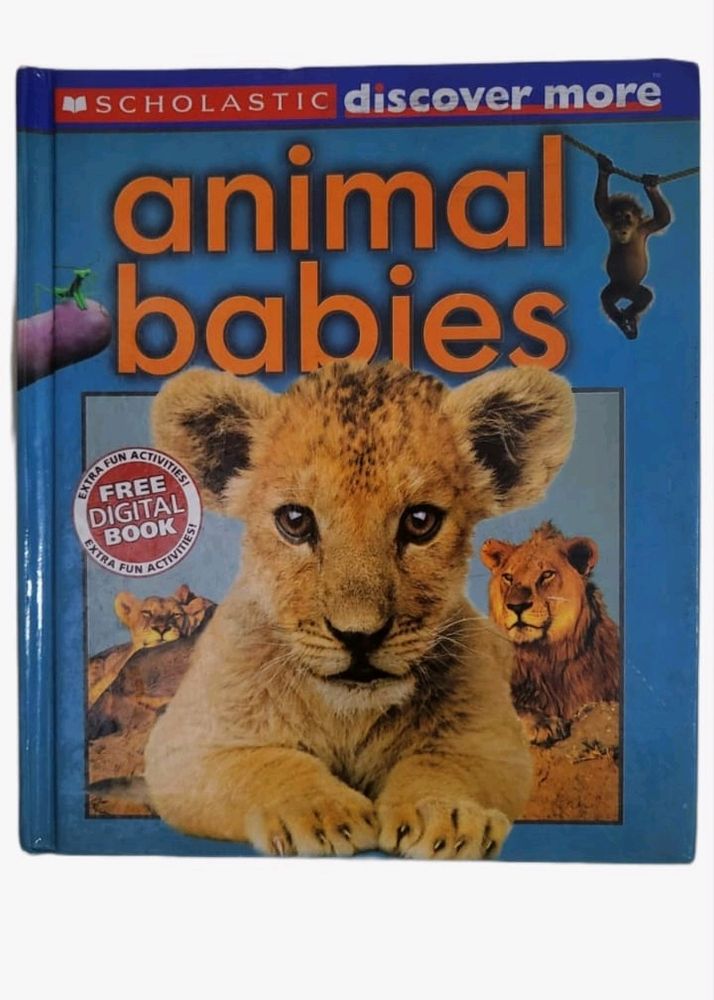 Animal Babies (Scholastic Discover More) Hardcover