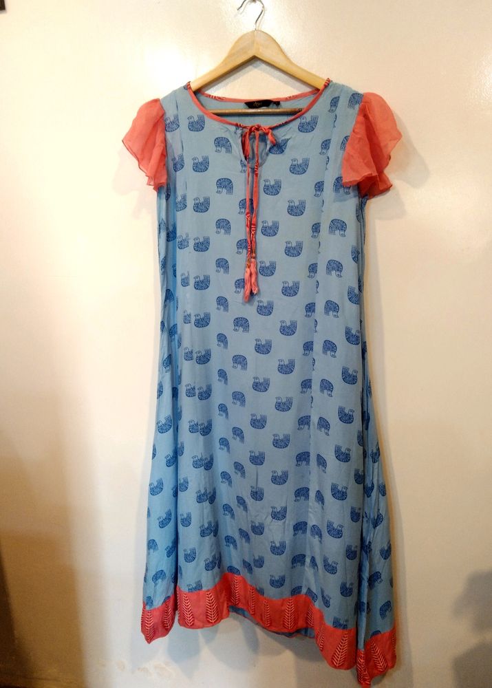 Blue Printed Kurta (Women)