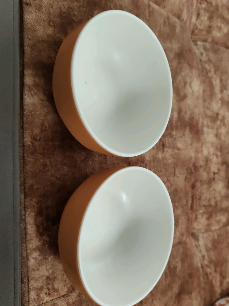 Two Melamine Bowl