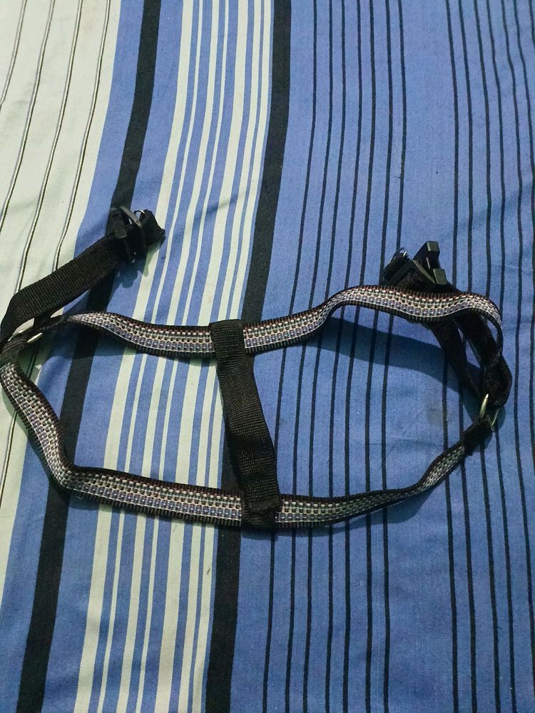 Dog BODY Belt