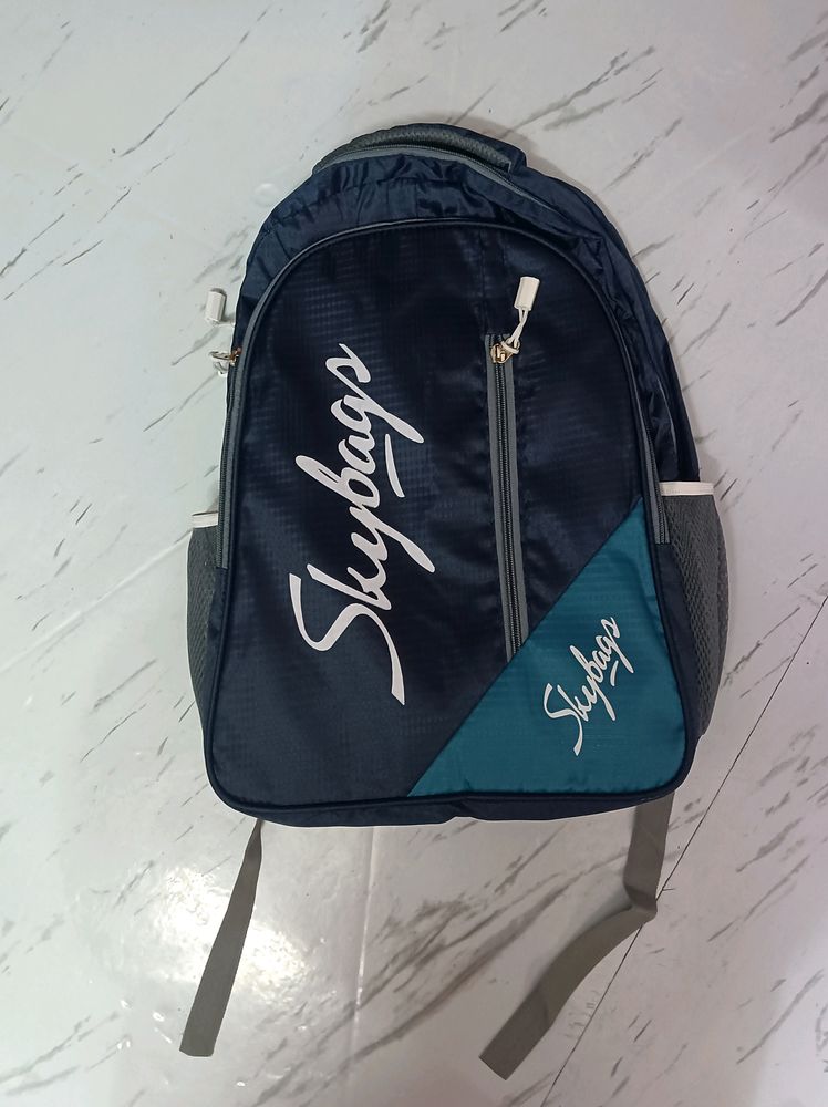 Skybags Branded Big Size Backpack