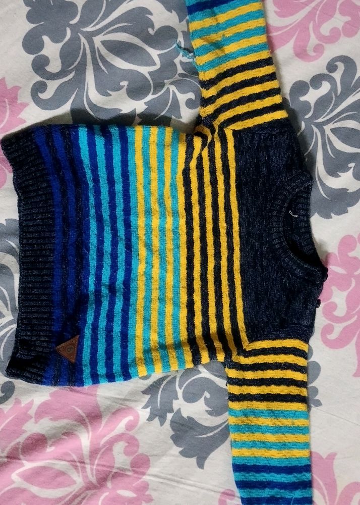 Babyhug Sweater