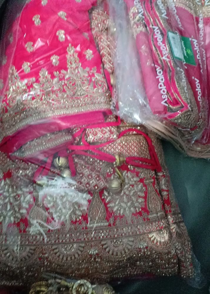 Asopalav Bridal Chaniya Choli Pink