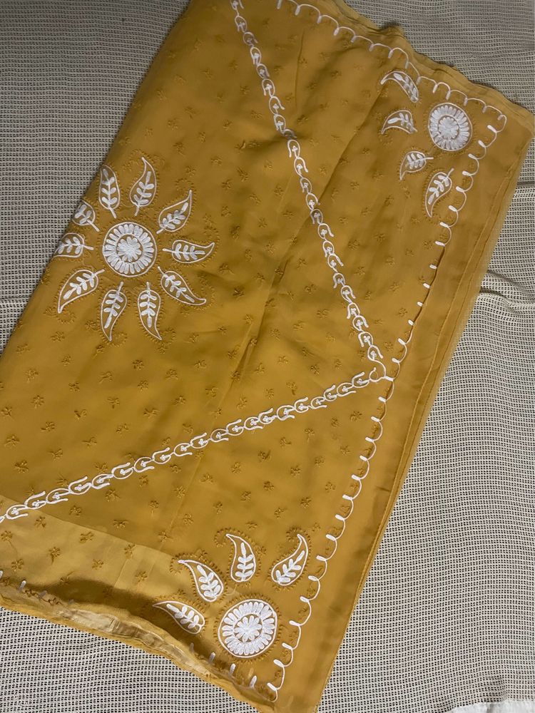 Lucknowi Chikankari Saree