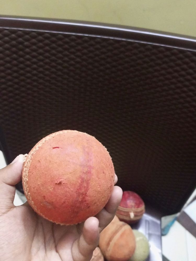 Sg Cricket Ball